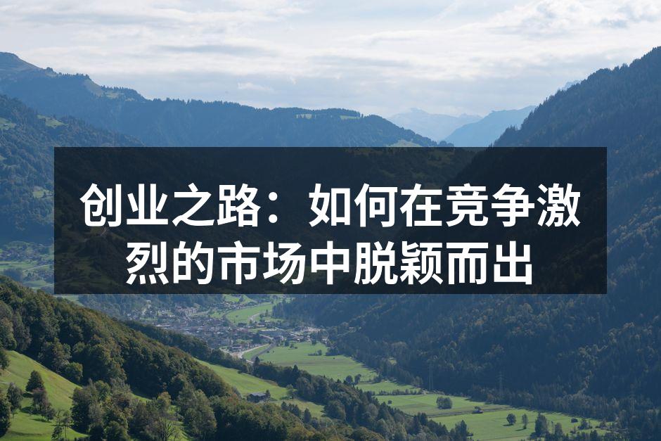 创业之路：如何在竞争激烈的市场中脱颖而出
