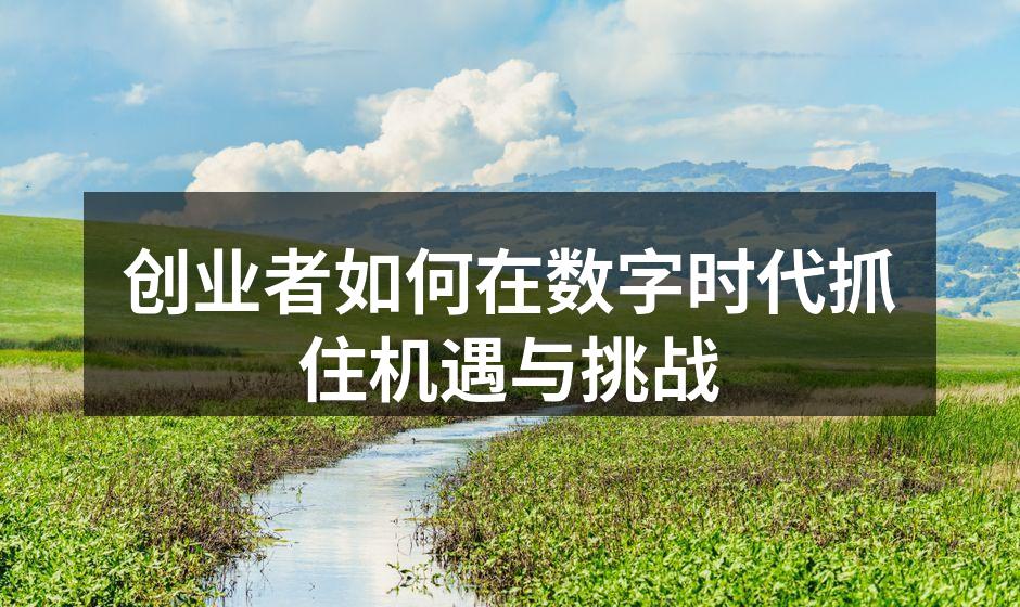 创业者如何在数字时代抓住机遇与挑战