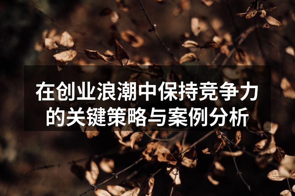 在创业浪潮中保持竞争力的关键策略与案例分析